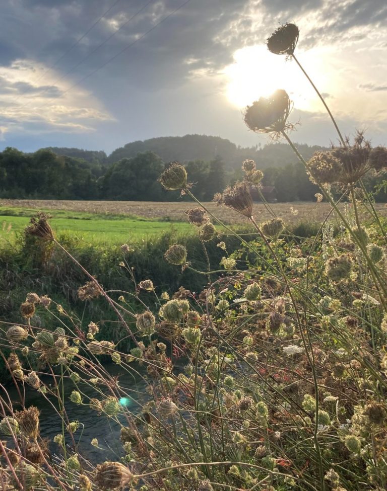Blick aus der Naturheilpraxis Sonnleiten Abendstimmung Landschaft Sonnleitenweg.