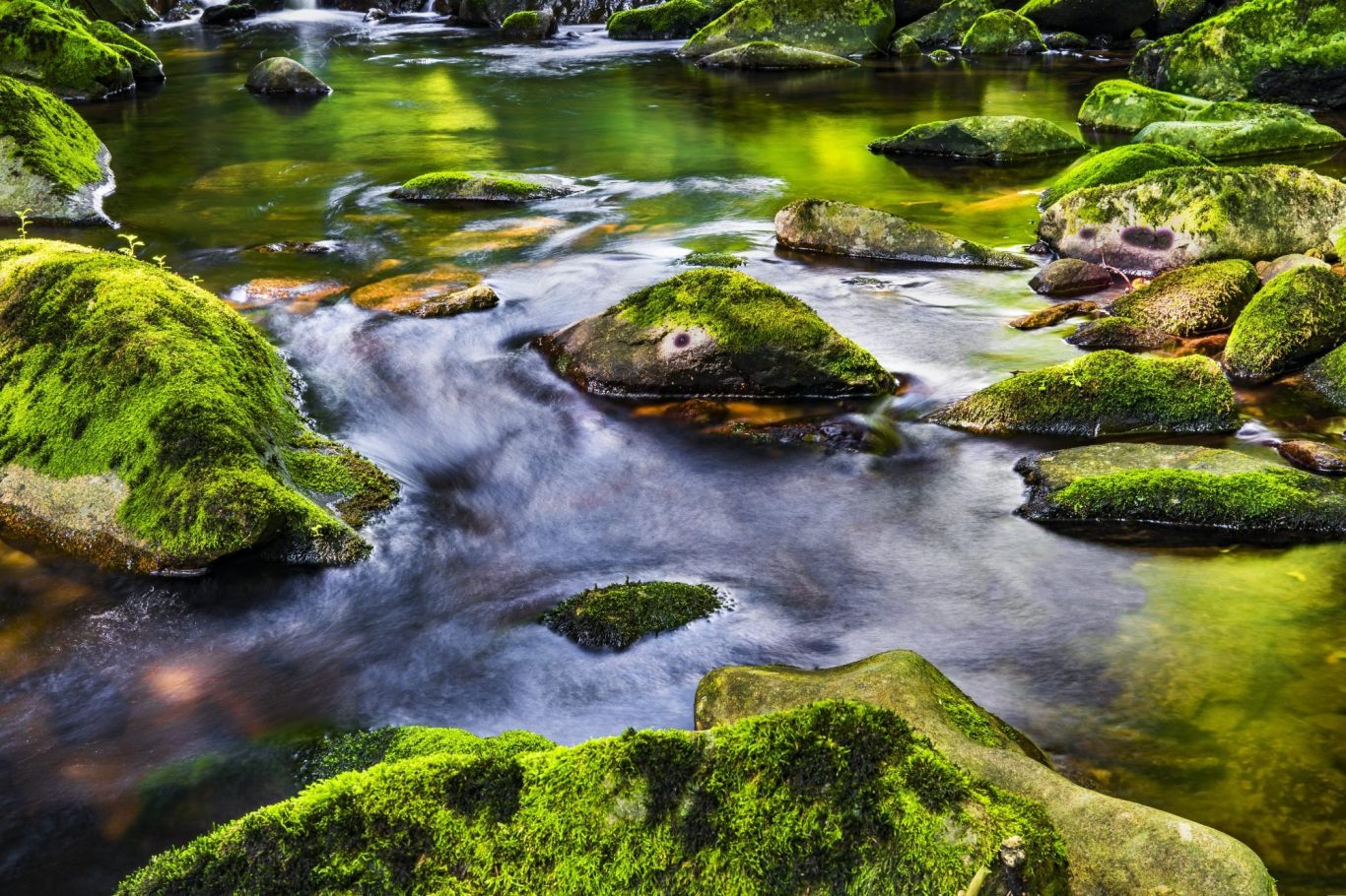 Engaging Vitality Bemooste Steine in fließendem Fluss.
